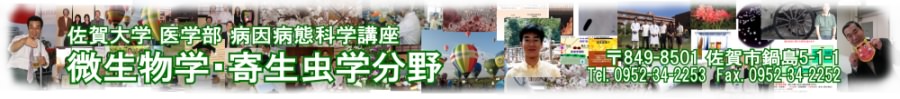 ww aaԉȊwu wE񐶒w (840-0831 s瓇5-1-1ATel.0952-34-2253)